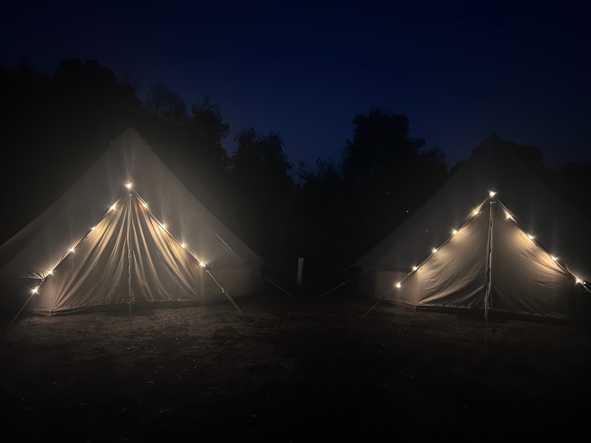 Adelaide: Kangaroo Island 2 Day 1 night Wildlife Adventure