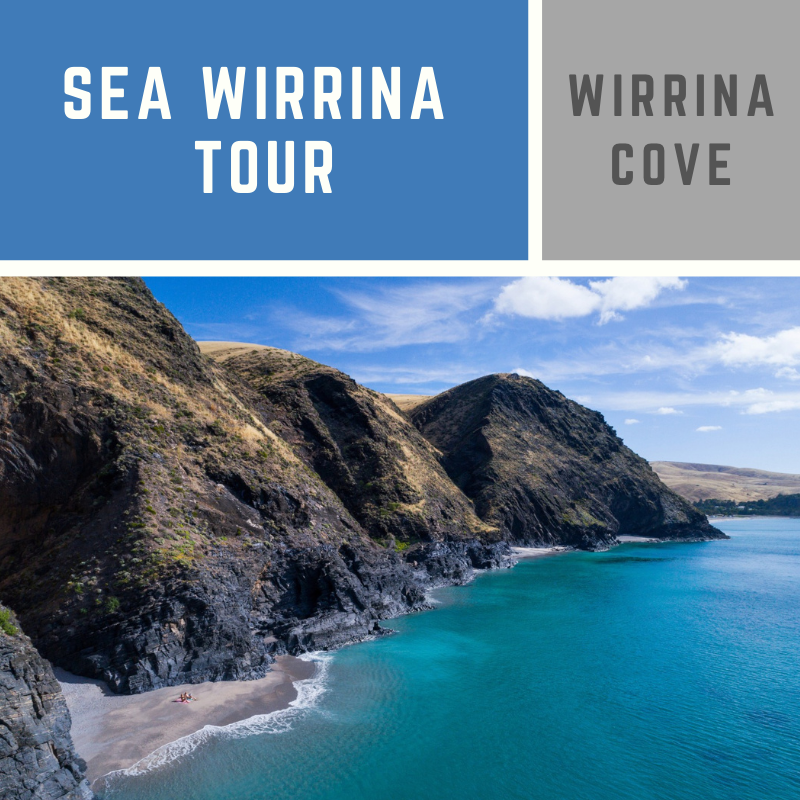 Sea Wirrina Tour (Wirrina Cove) - The Big Duck Boat Tours Reservations