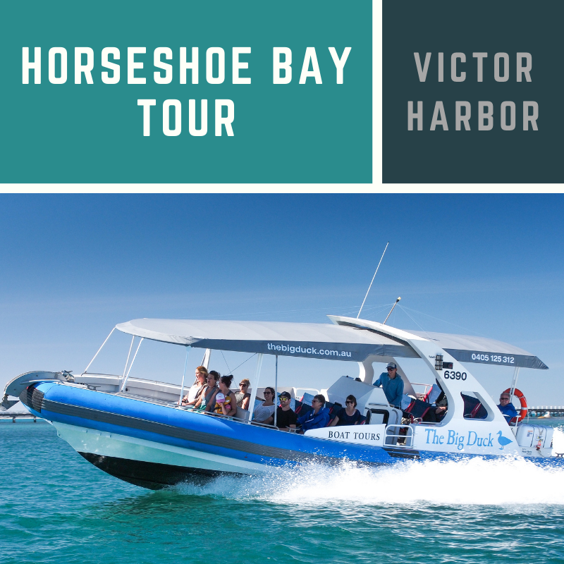 horseshoe bend boat tours