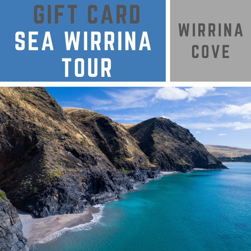Gift Card - Sea Wirrina Tour 