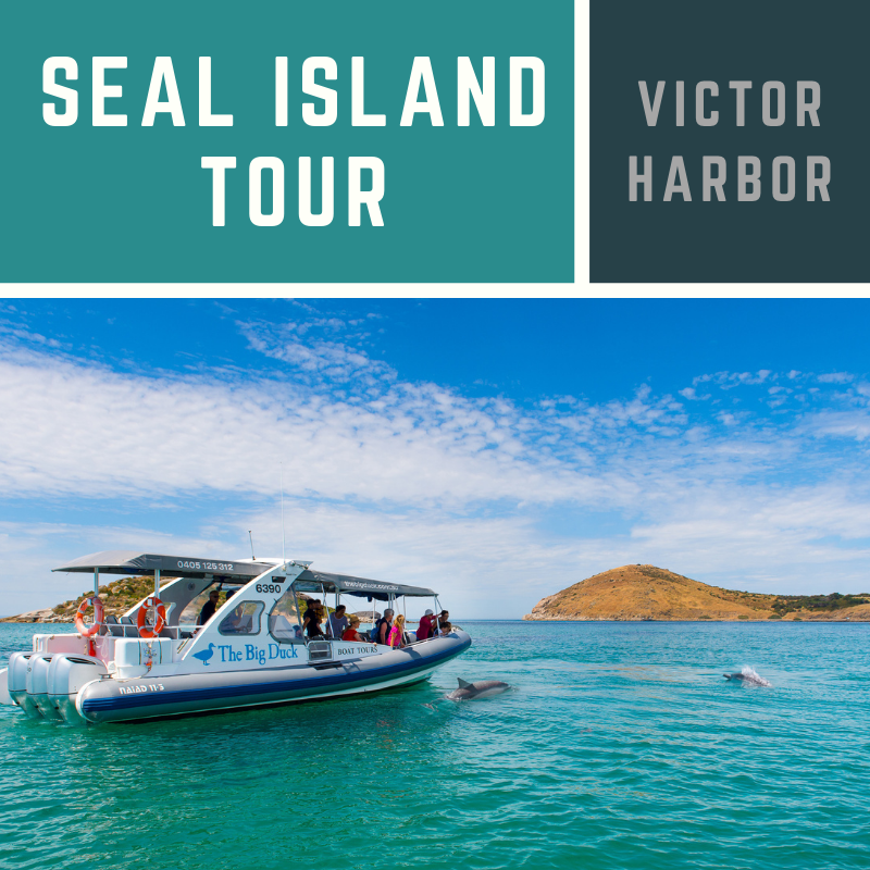 seal island boat tours