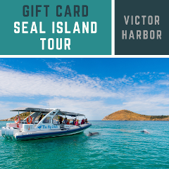 Seal Island Tour - Gift Card