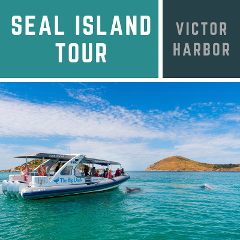 Seal Island Tour (Victor Harbor)