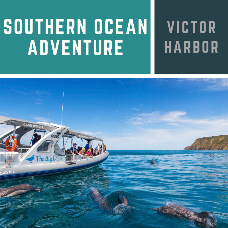 Southern Ocean Adventure 