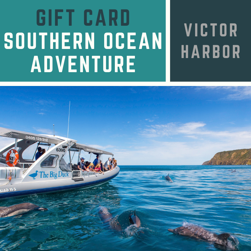 Gift Card - Southern Ocean Tour 