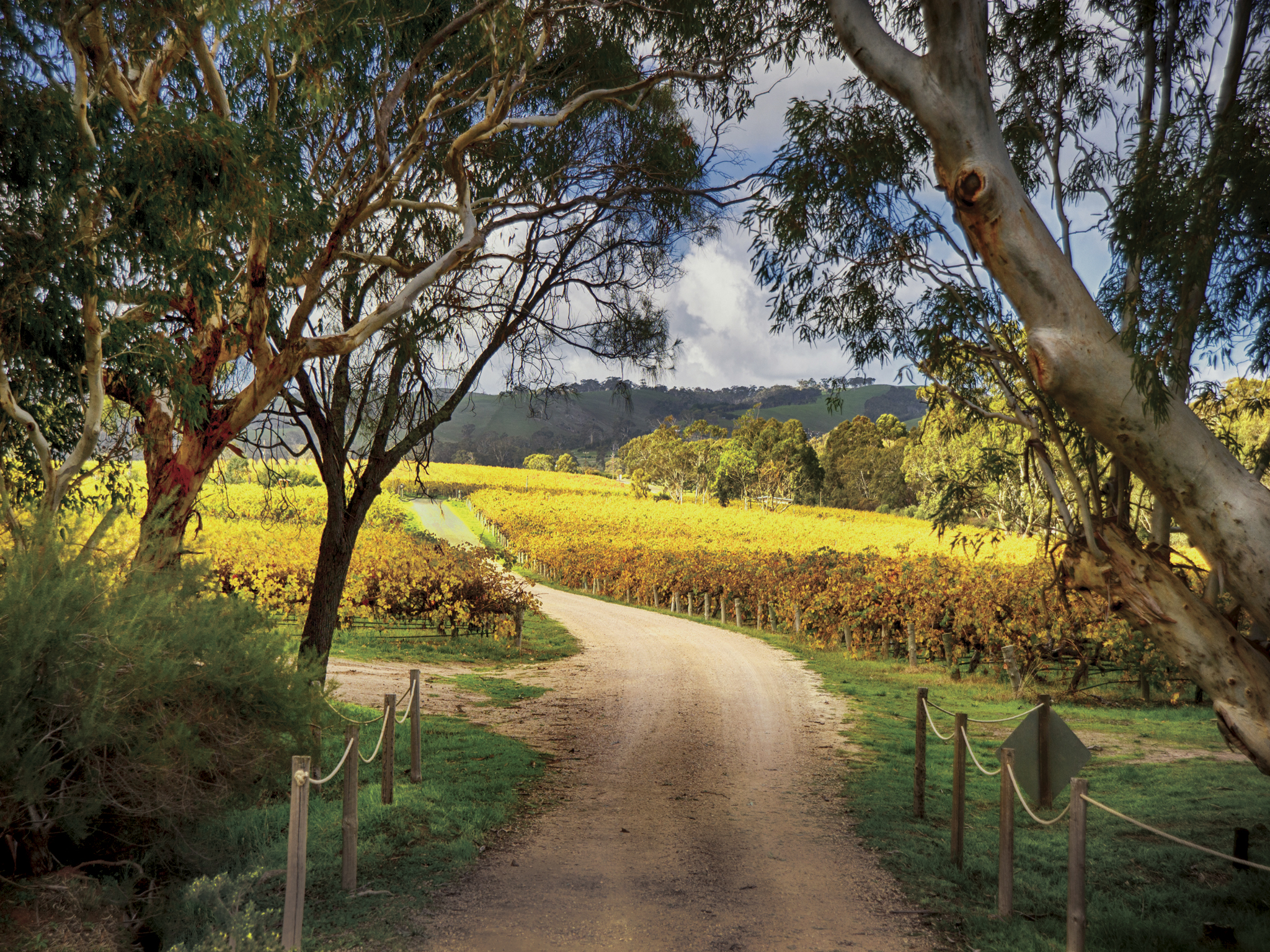 McLaren Vale Winery Experience