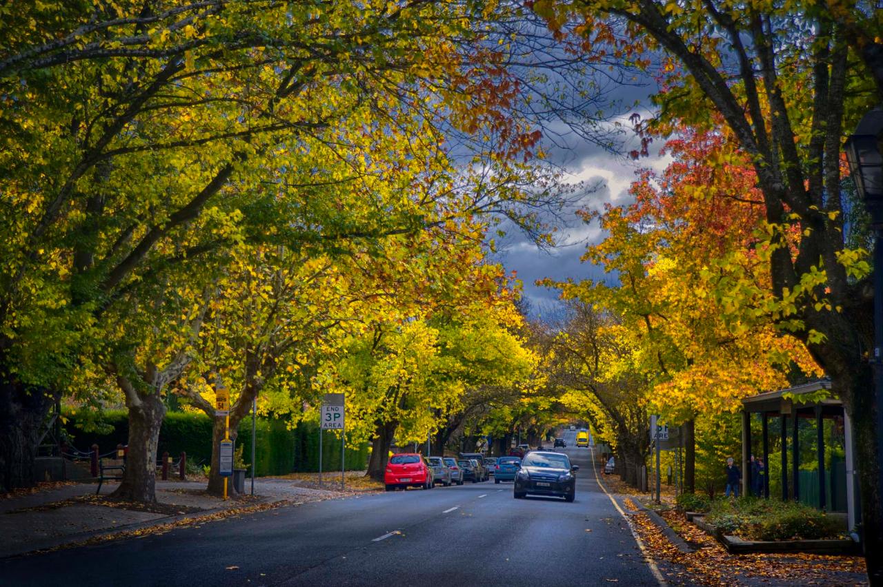 adelaide-hills-hahndorf-private-tour-for-cruise-ship-passengers