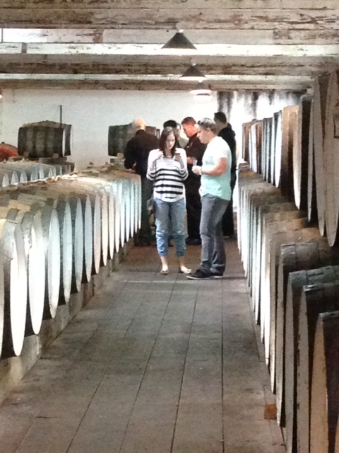 Fruit of the Vine - Barossa Valley - Private Tour