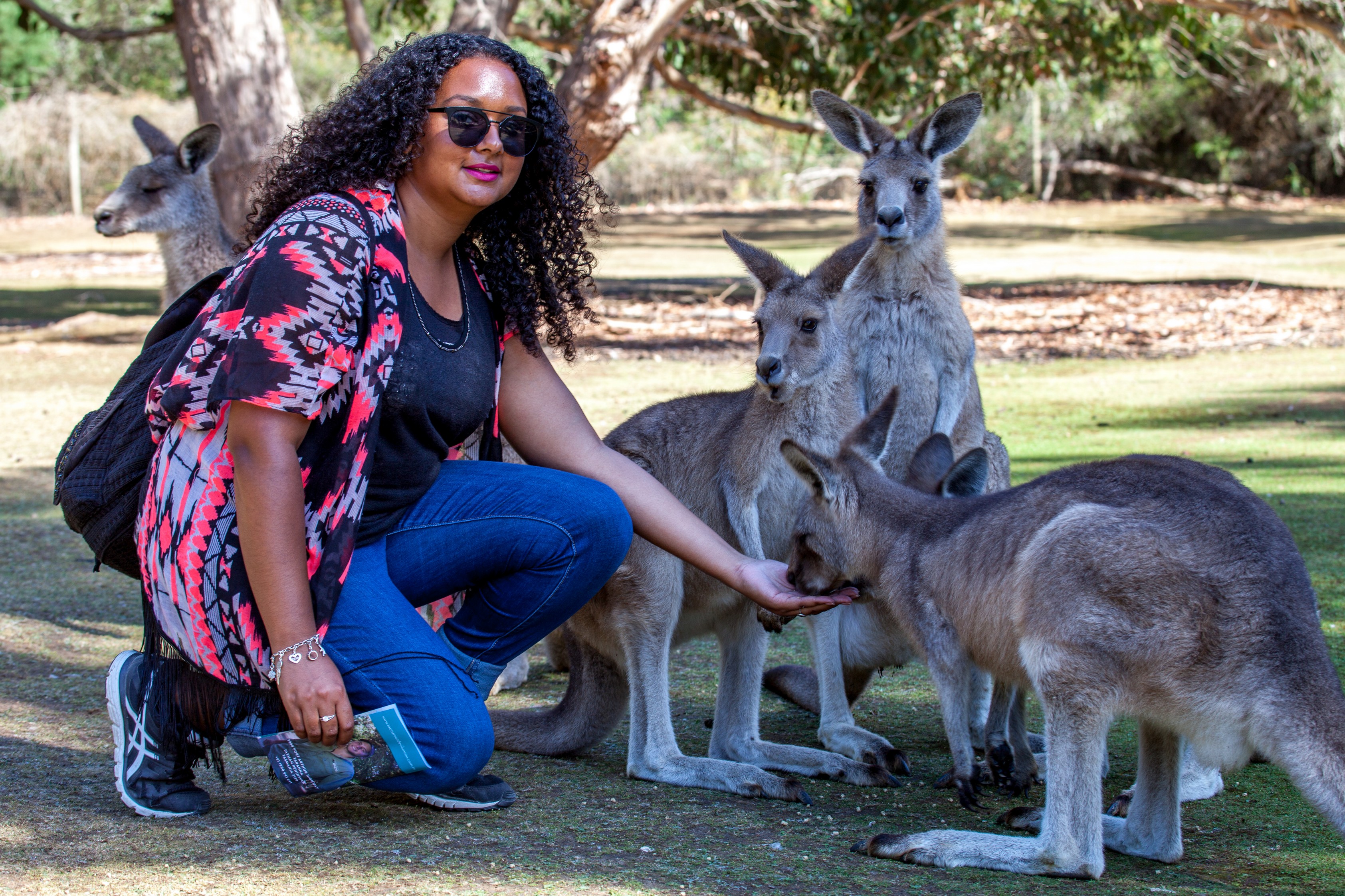 The BIG 3 Tasmania -  Launceston to Hobart