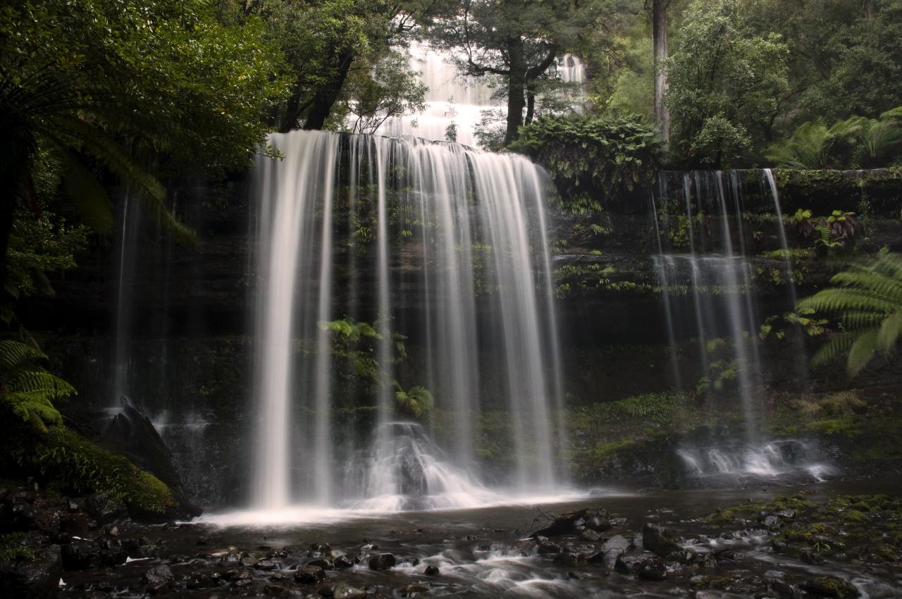 Hobart Cruise Ship Tour - Mt. Field National Park & Wildlife