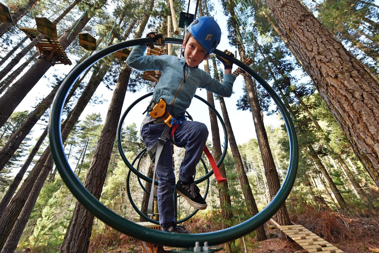 Tree Ropes Adventure with BONUS hour free Hollybank Wilderness