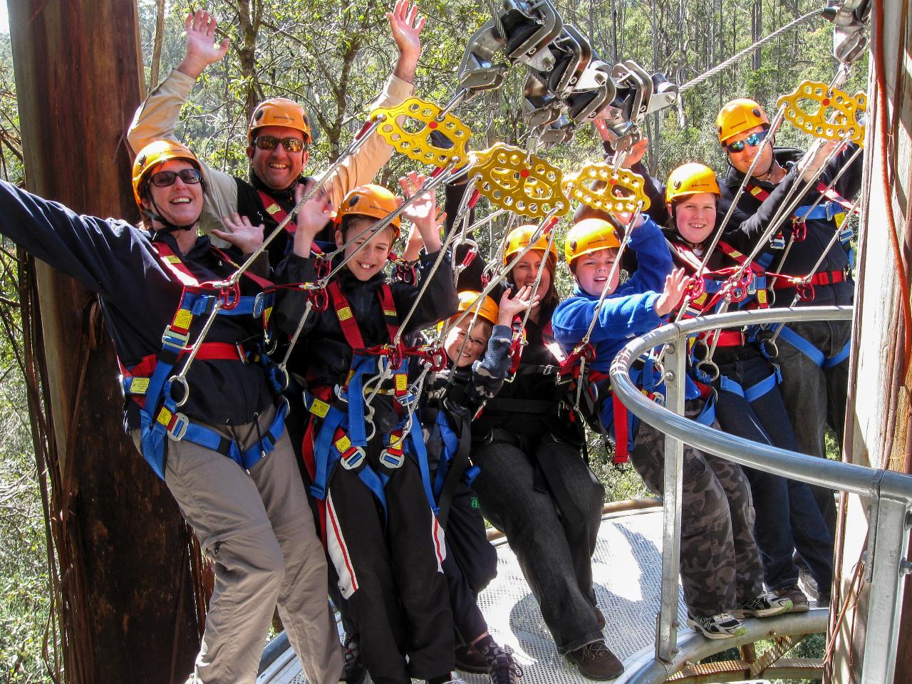 Zipline Adventures - Hollybank Wilderness Adventures Reservations