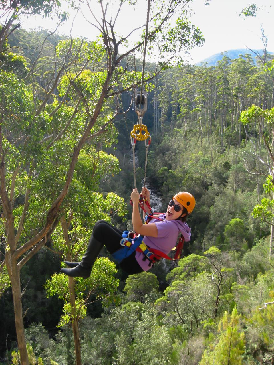 Zipline Adventures