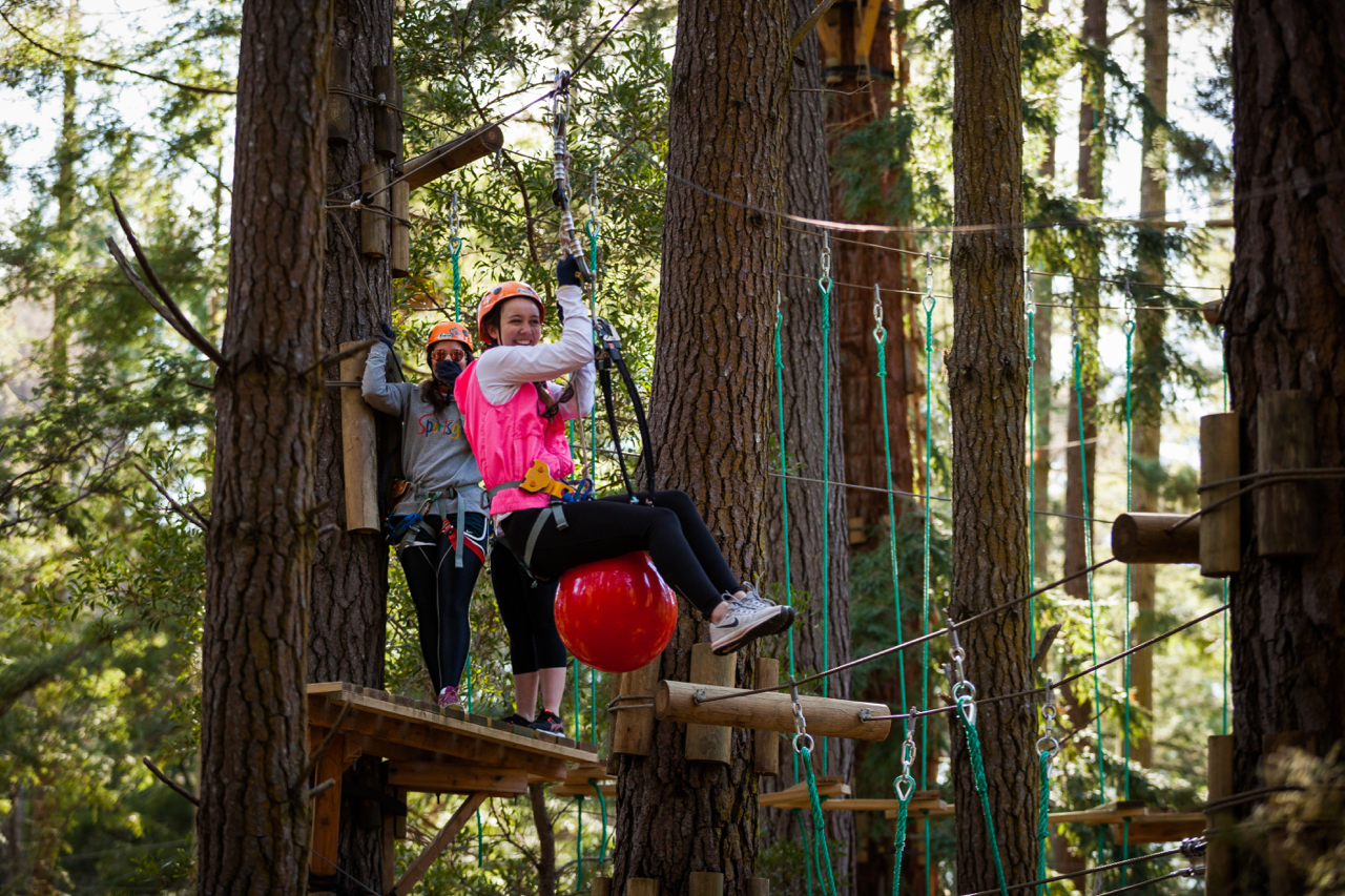 Tree Ropes Adventure with BONUS hour free Hollybank Wilderness