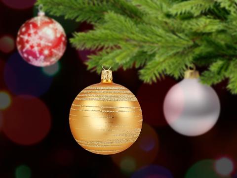 Tribal Warrior Christmas Party Enquiry