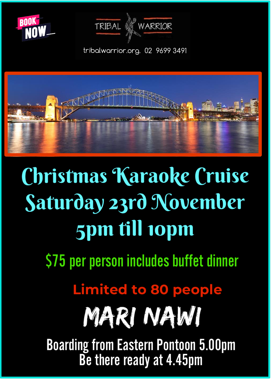 Christmas Karaoke Cruise