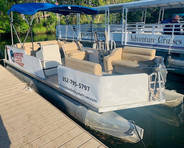 Dolphin Pontoon 