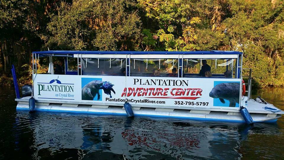 Gift Certificate Snorkel with Manatees Tour OP