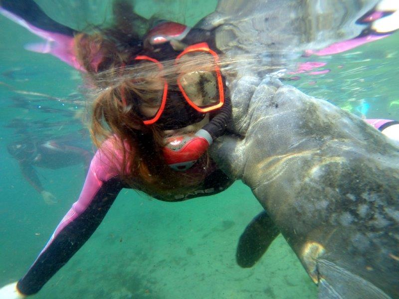  Snorkel with Manatees Tour with In-Water Dive Master (Photographer) #10 Boat