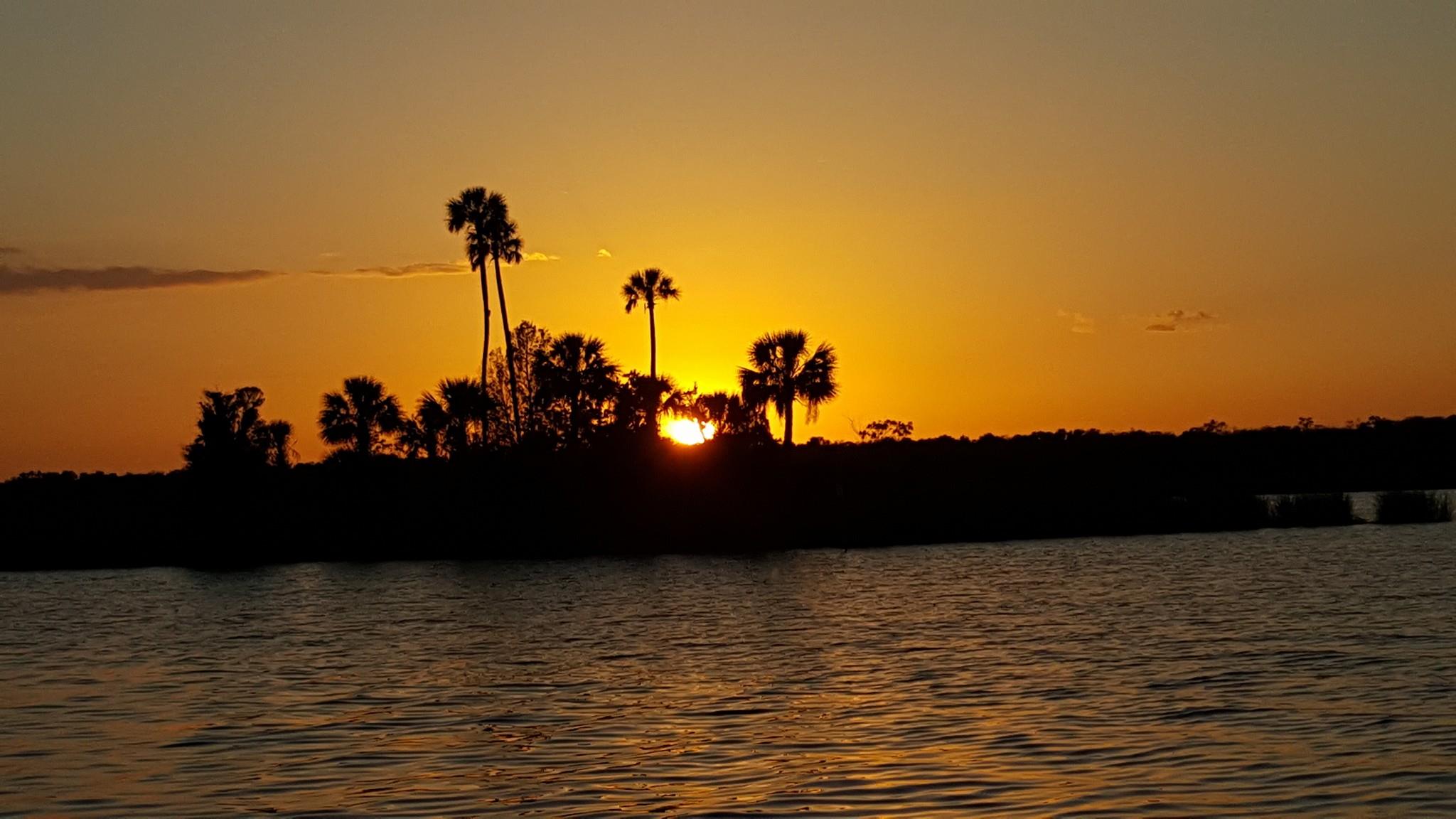 Plantation's Kings Bay Sunset Cruise Plantation on Crystal River