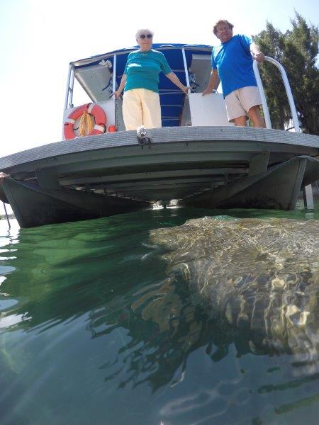 Gift Certificate - Snorkel with Manatees-Semi Private Tour