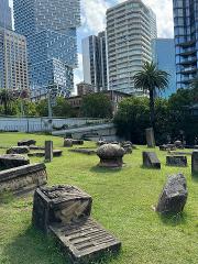 The Art of Sydney 