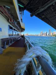 Sydney Harbour Cruise PM
