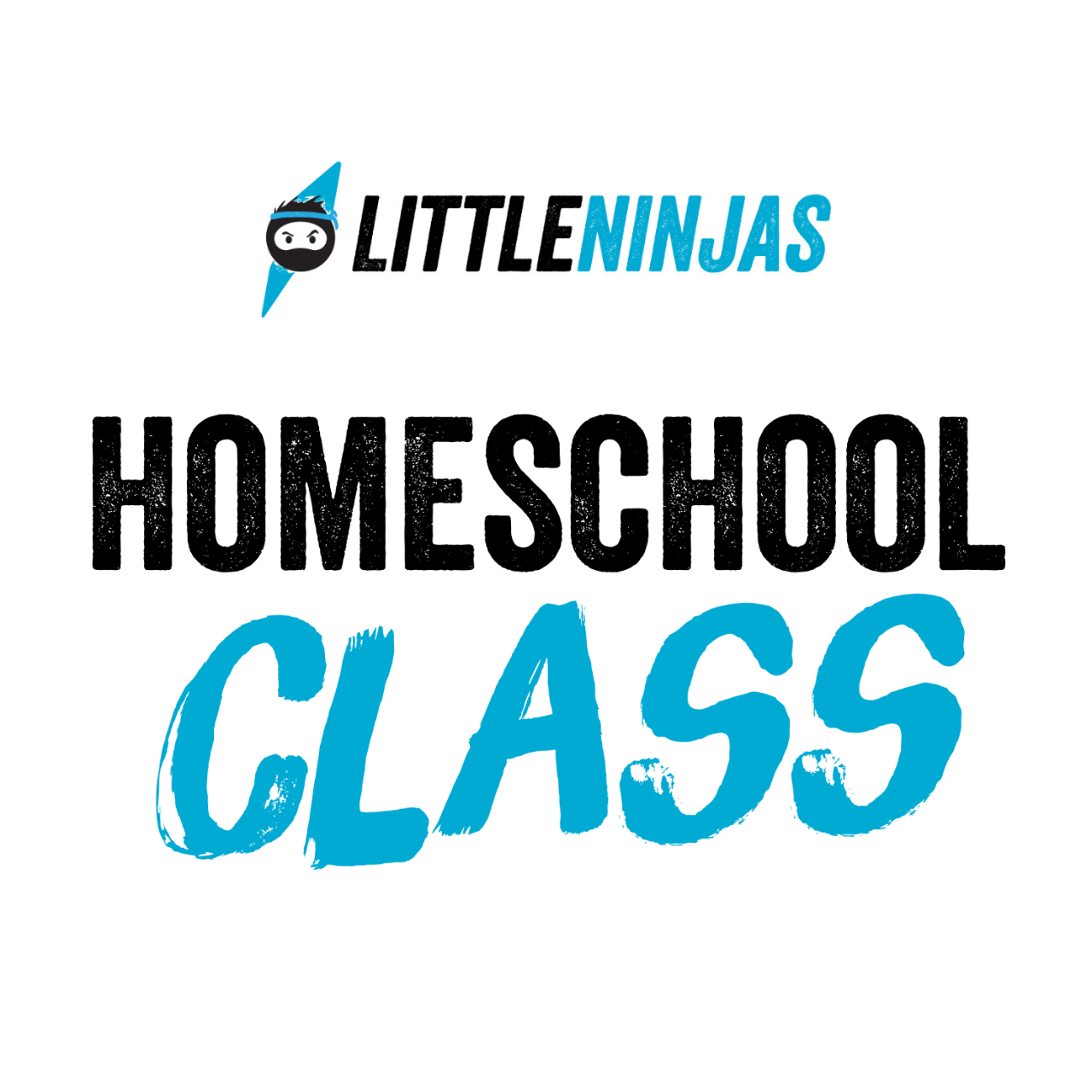  Little Ninjas Homeschool Class (6 - 14 years)