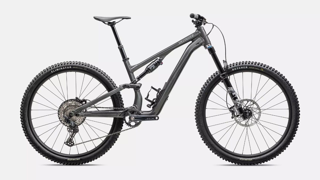 Stumpjumper 15 - Large
