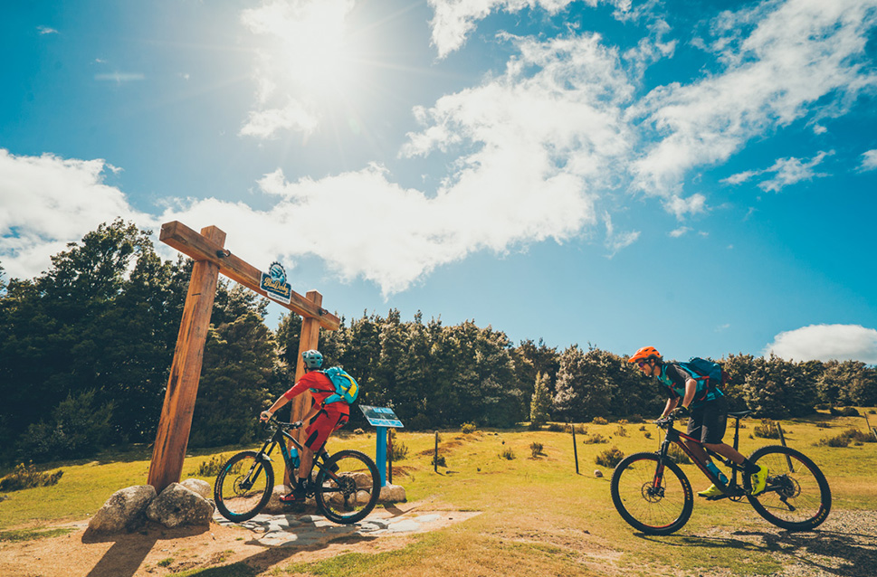 Vertigo Blue Tier and Atlas Shuttle Mountain Bike Trail Blue Derby Tasmania