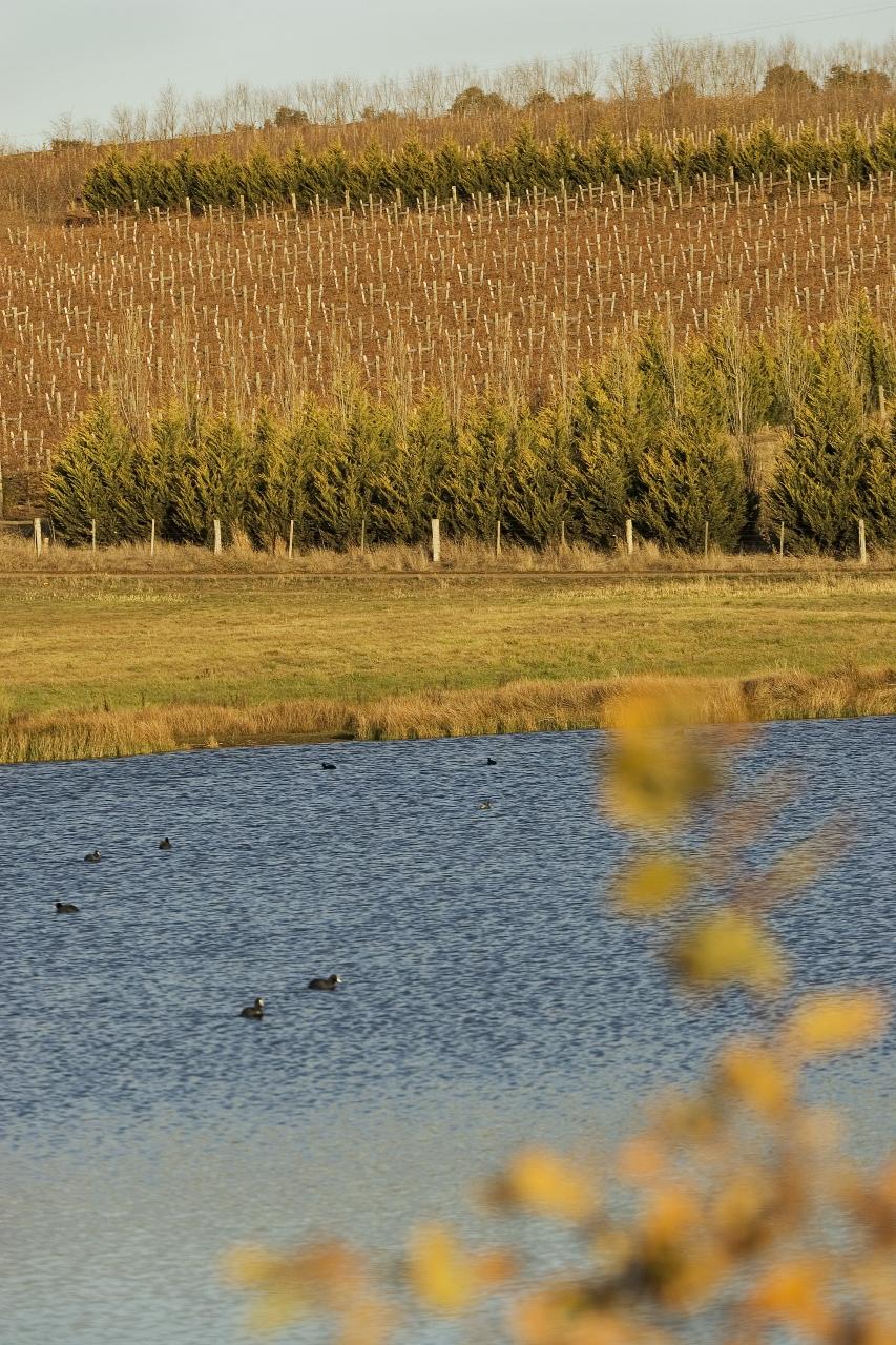 Macedon Ranges Wine Daytour (Private)