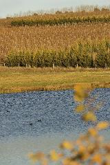 Macedon Ranges Wine Daytour (Private)
