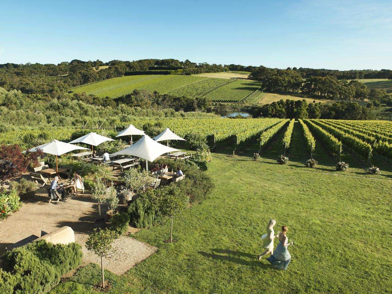 Mornington Peninsula Premium Wine & Food Day Tour 