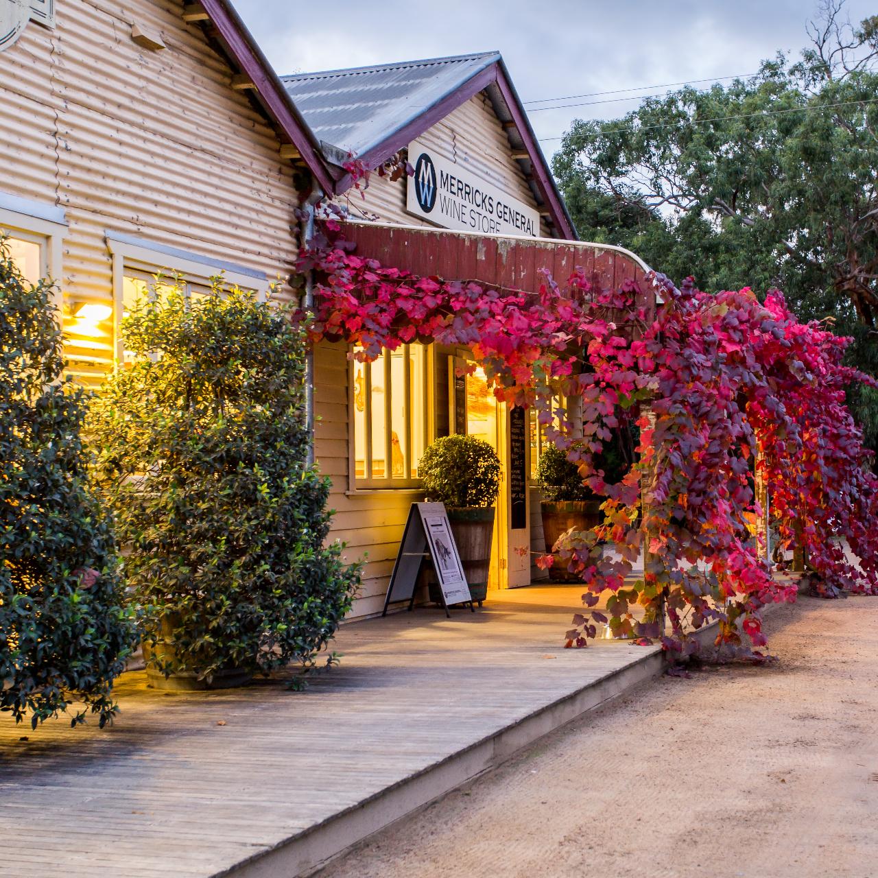 Mornington Peninsula Wine Day Tour