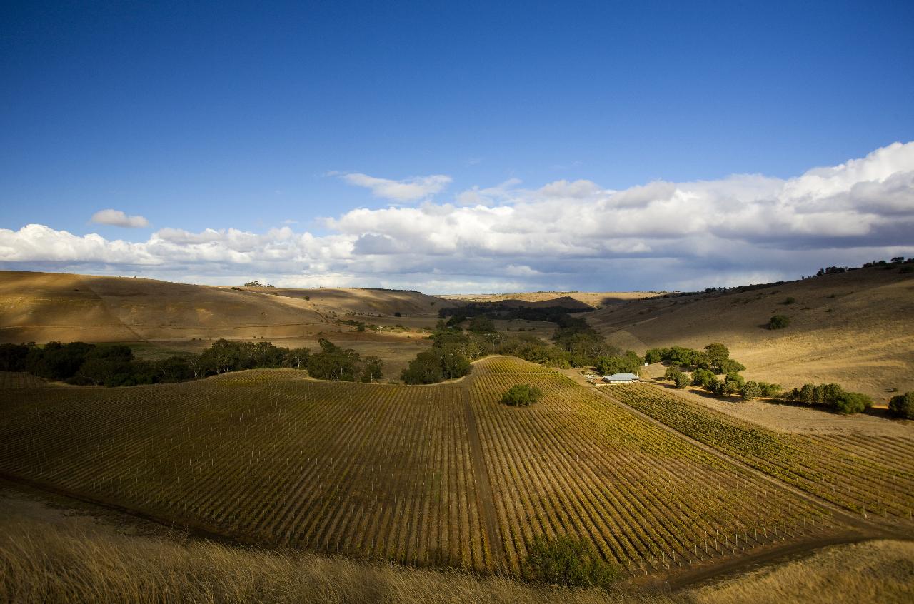 Geelong Wine Daytour (Private)