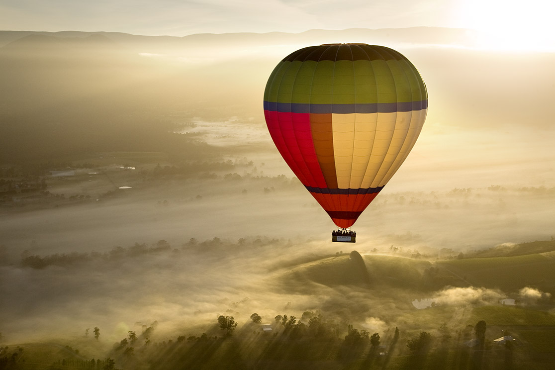 Yarra Valley Balloon, Wildlife & Wine Day Tour