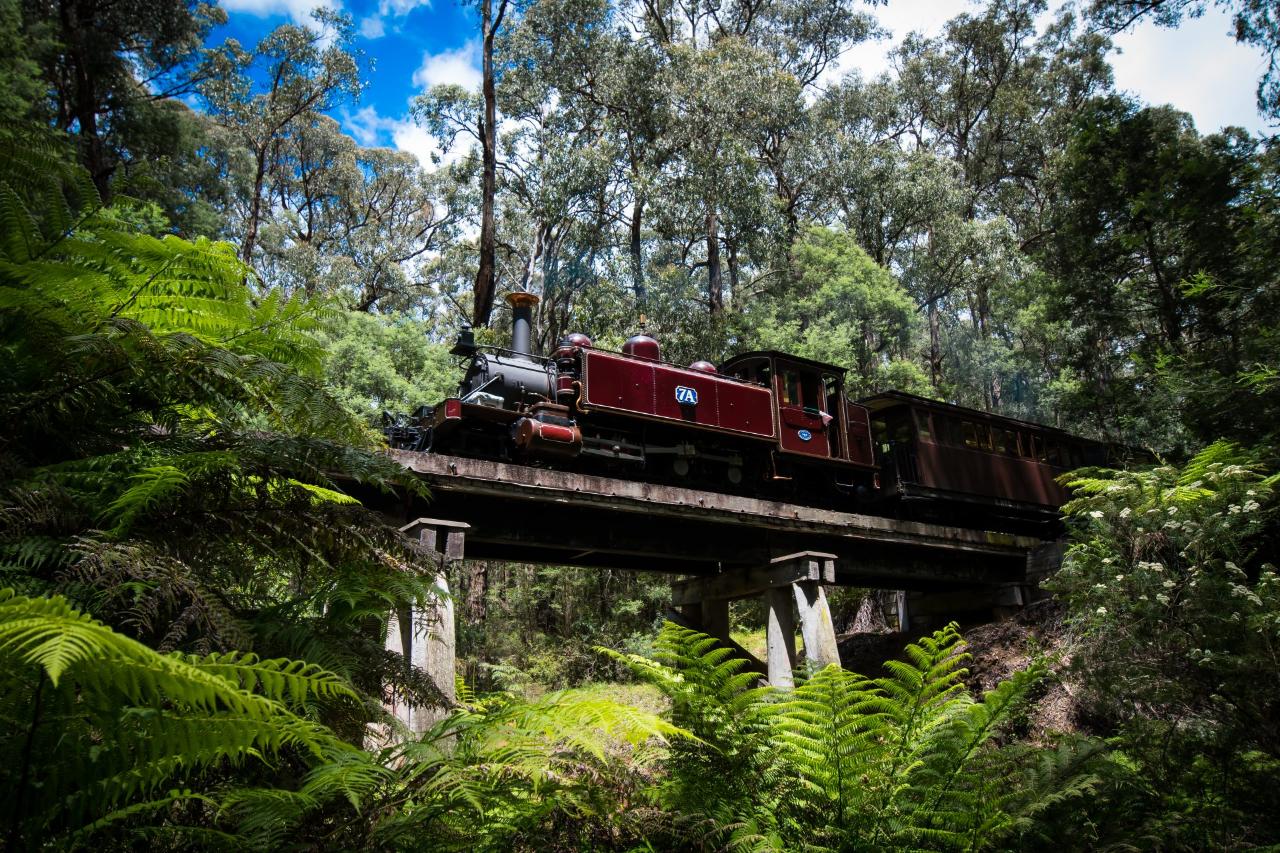 Dandenongs & Puffing Billy