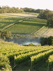 Mornington Peninsula Wine Daytour (Private)