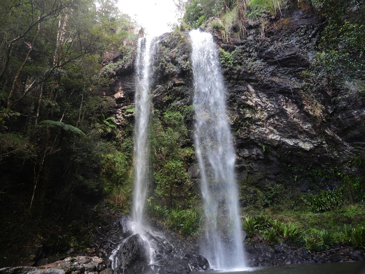 Springbrook Waterfall Adventure