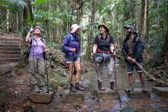 Gidjuum Gulganyi Walk: 4-Day Guided Hiking & Glamping Experience