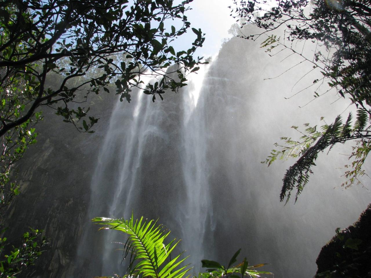 Minyon Falls (Long) Walk