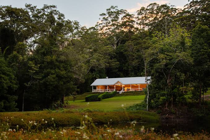 3 Day Birding Retreat at Nightcap Ridge