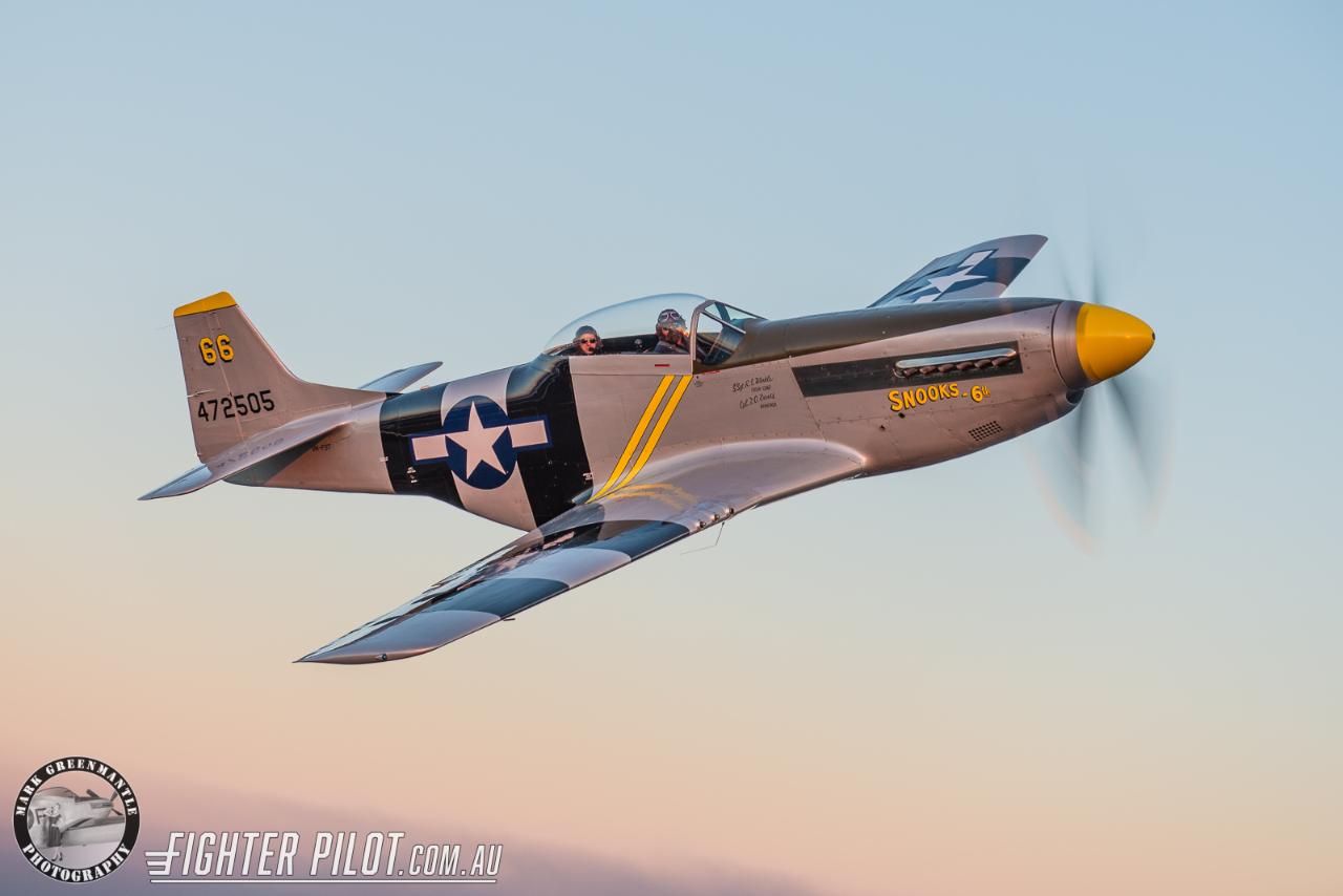  P-51 Mustang Gold
