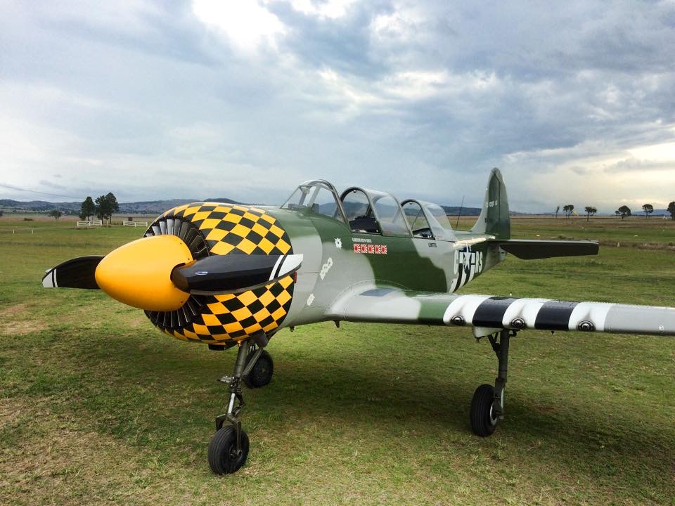 Yak-52 Aerobatics Silver