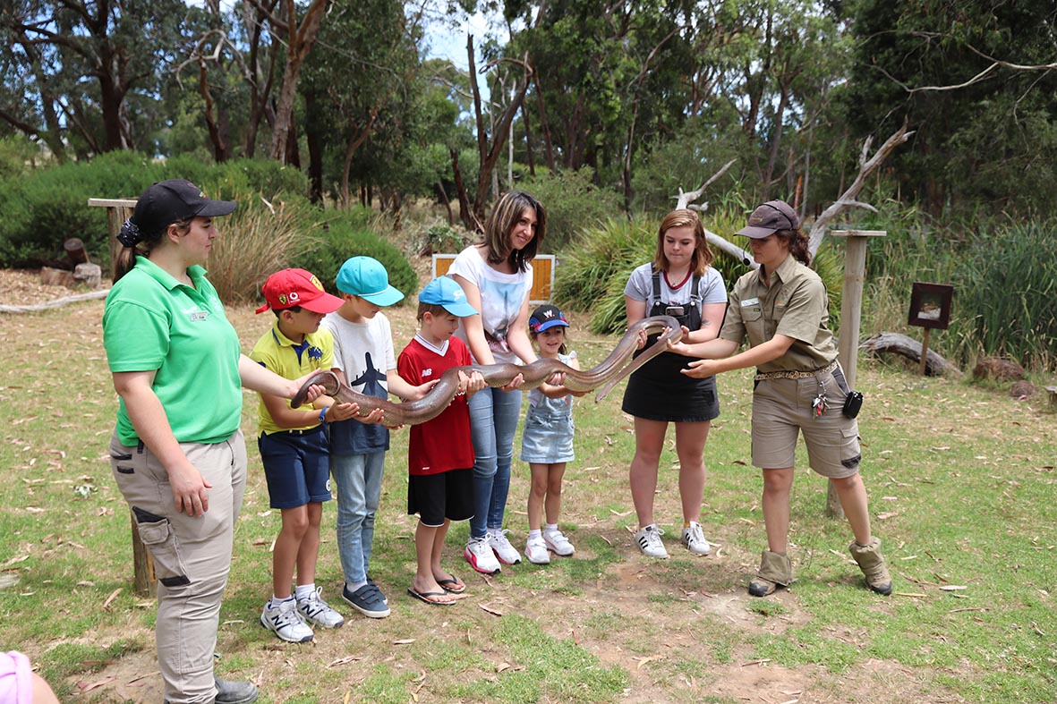 excursion-oshc-group-warrawong-wildlife-sanctuary-reservations