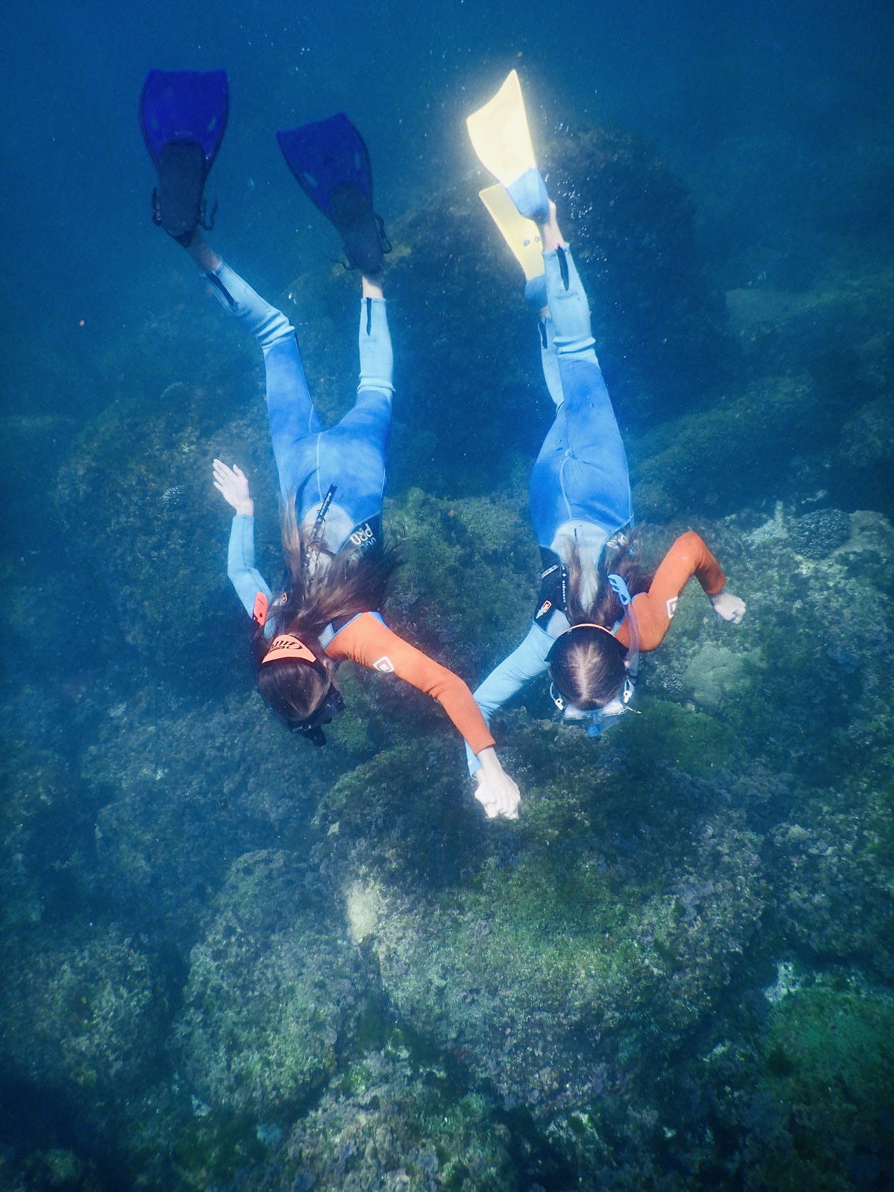 SNORKEL WITH THE TURTLES!