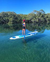 PADDLE BOARD HIRE ( SUP )