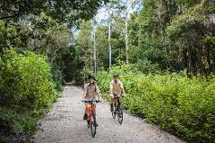 Northern Rivers Rail Trail - Guided Tour