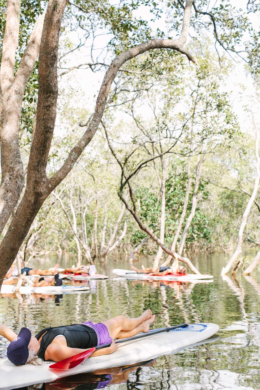 MINDFULNESS IN THE MANGROVES