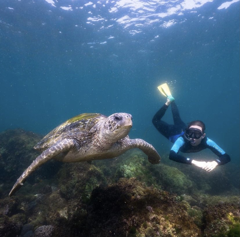 Brave Babes - Snorkel with the Turtles!